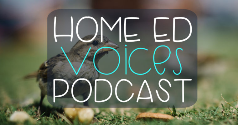 Home Ed Voices Podcast – (Season 2) Episode 18 – Becca (@Fiddlesticks.kids)