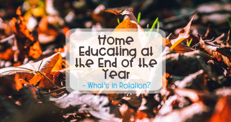 Home Educating at the End of the Year – What’s in Rotation?