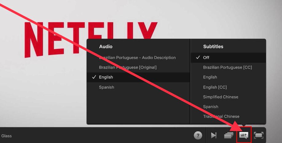 How to change Netflix audio track