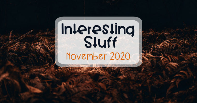 Interesting Stuff – November 2020