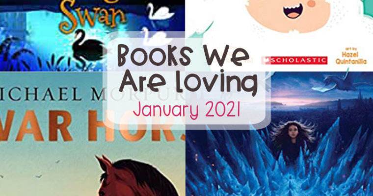 Books We Are Loving – January 2021