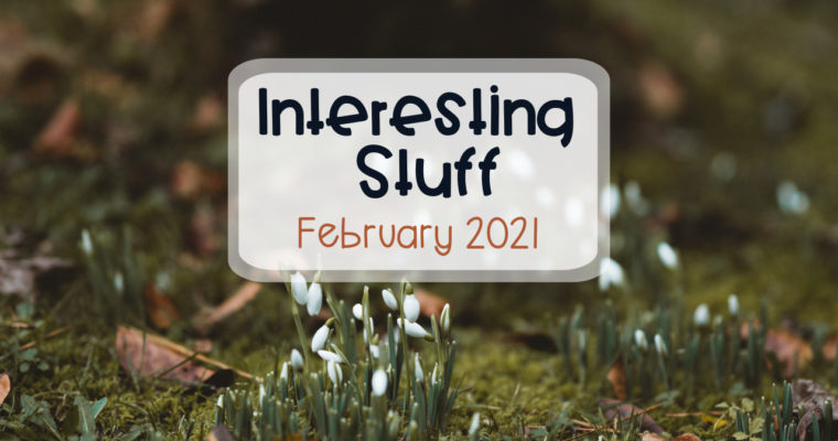 Interesting Stuff – February 2021