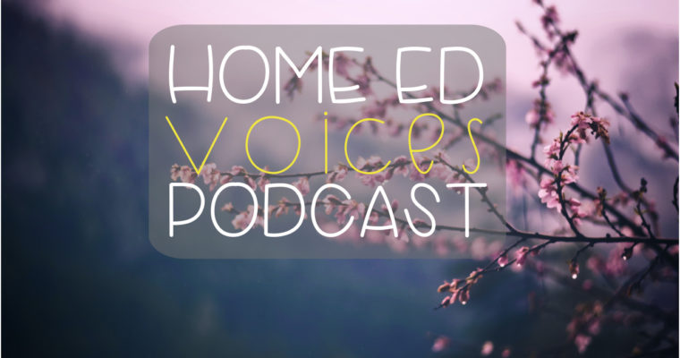 HOME ED VOICES PODCAST – (SEASON 3) EPISODE 30 Mini Episode: “DON’T OVER PLAN THE FUN STUFF, (AND WHAT TO DO INSTEAD.)”